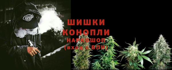 гидра Вязники
