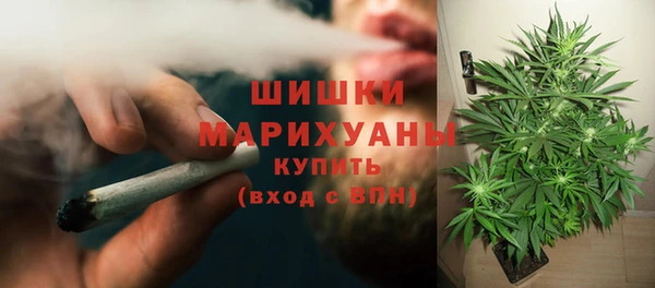 гидра Вязники