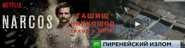 гидра Вязники