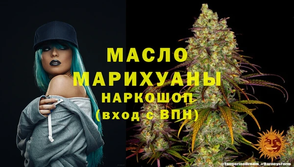 гидра Вязники