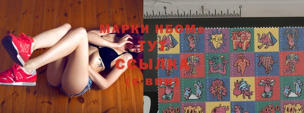гидра Вязники