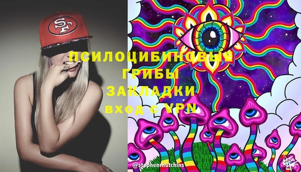 mix Вяземский