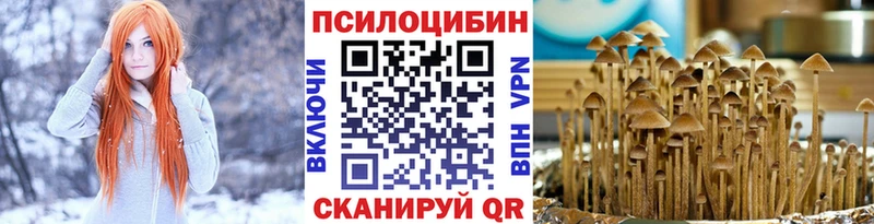 Галлюциногенные грибы мицелий где найти наркотики Новочеркасск